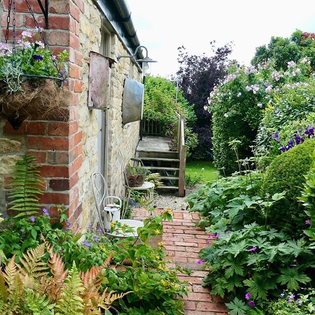 Outside the studio. #cottagegarden #mygardennow