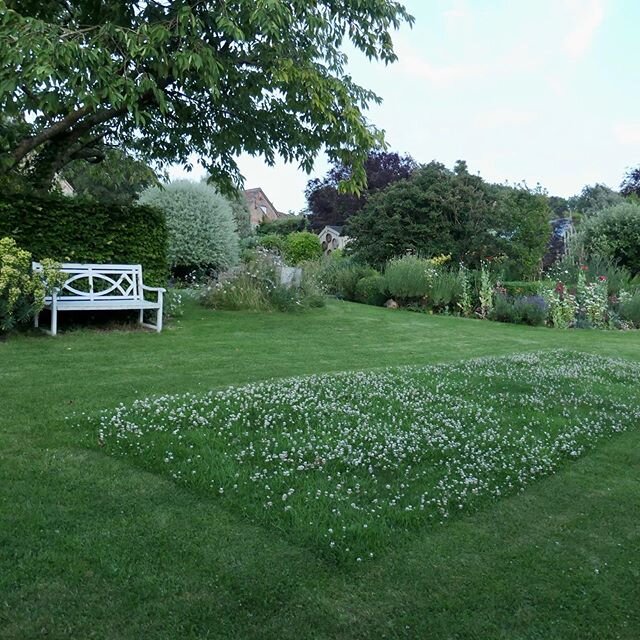 The bees are enjoying the large rectangle of clover I&rsquo;ve left in the middle of one of the lawns. #flowersforbees #cloverlawn #mygardennow