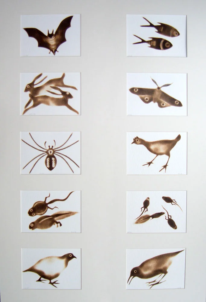 Nature Studies