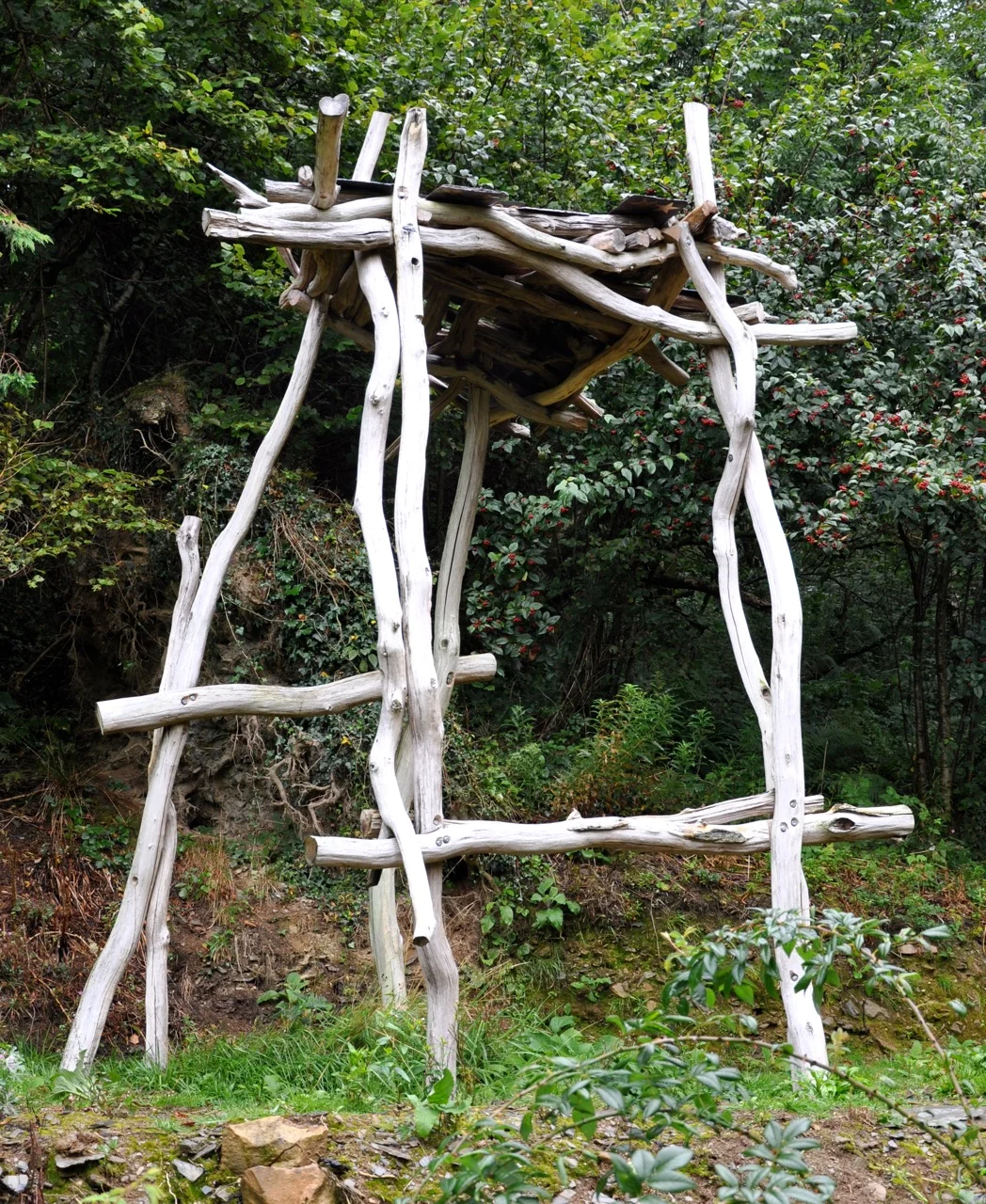 Sukkah