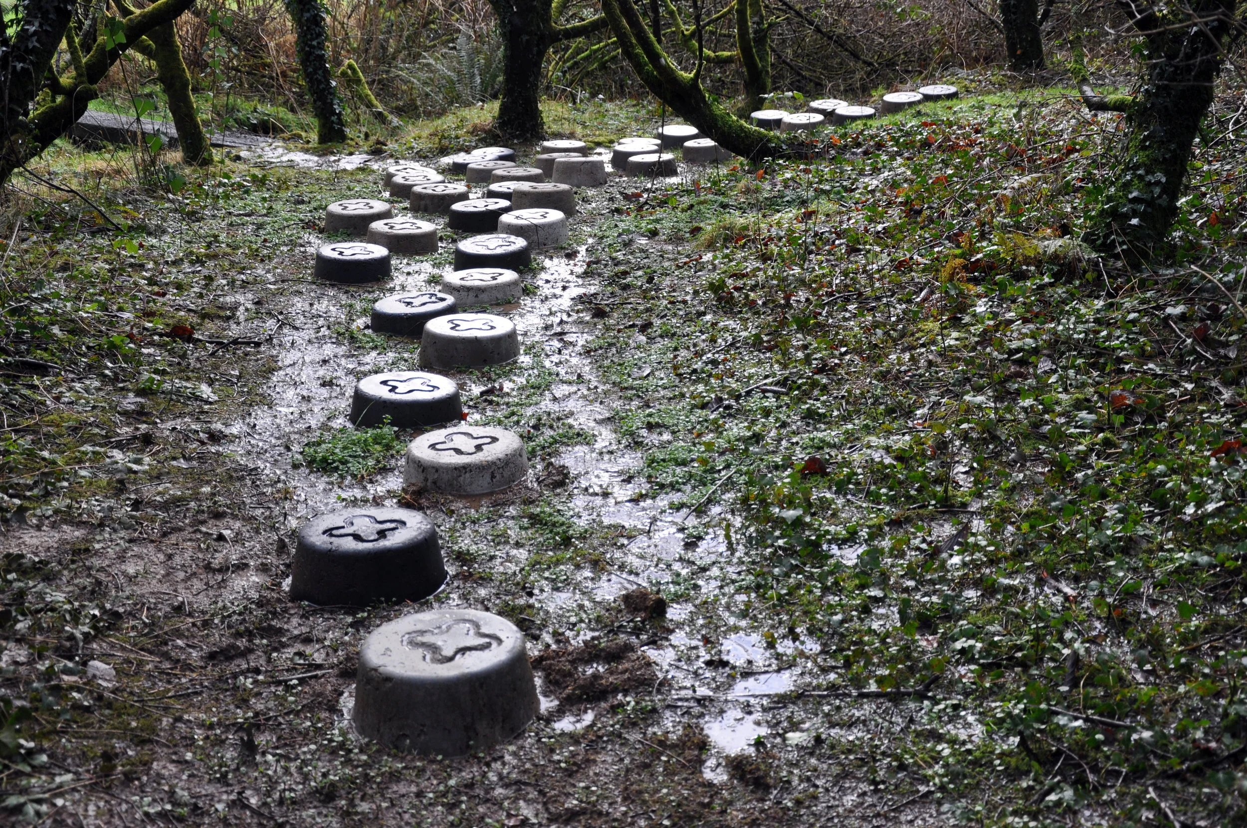 Stepping Stones