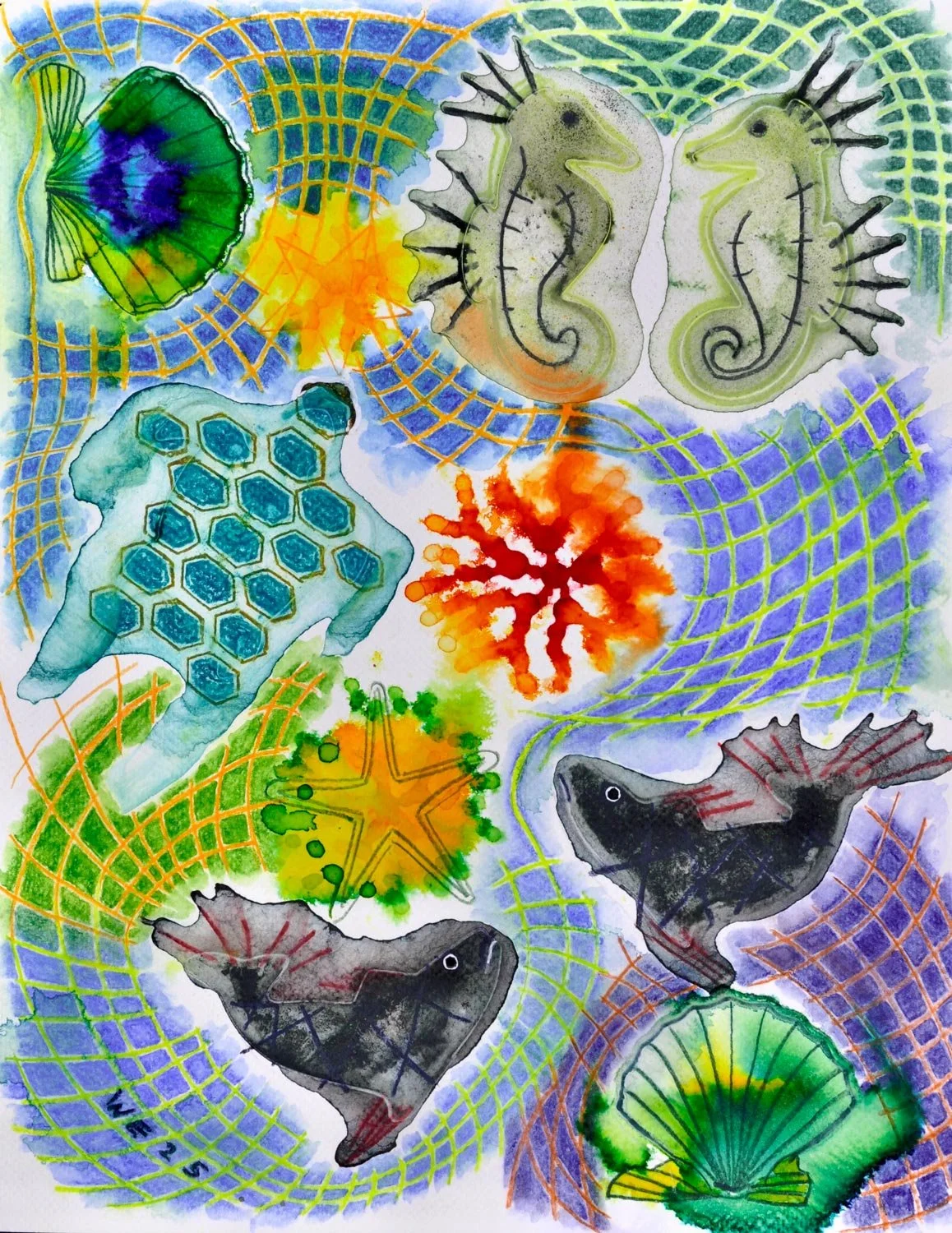 Sea Life
