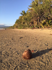PORT DOUGLAS, QLD