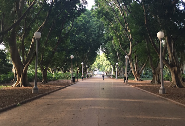 HYDE PARK, SYDNEY
