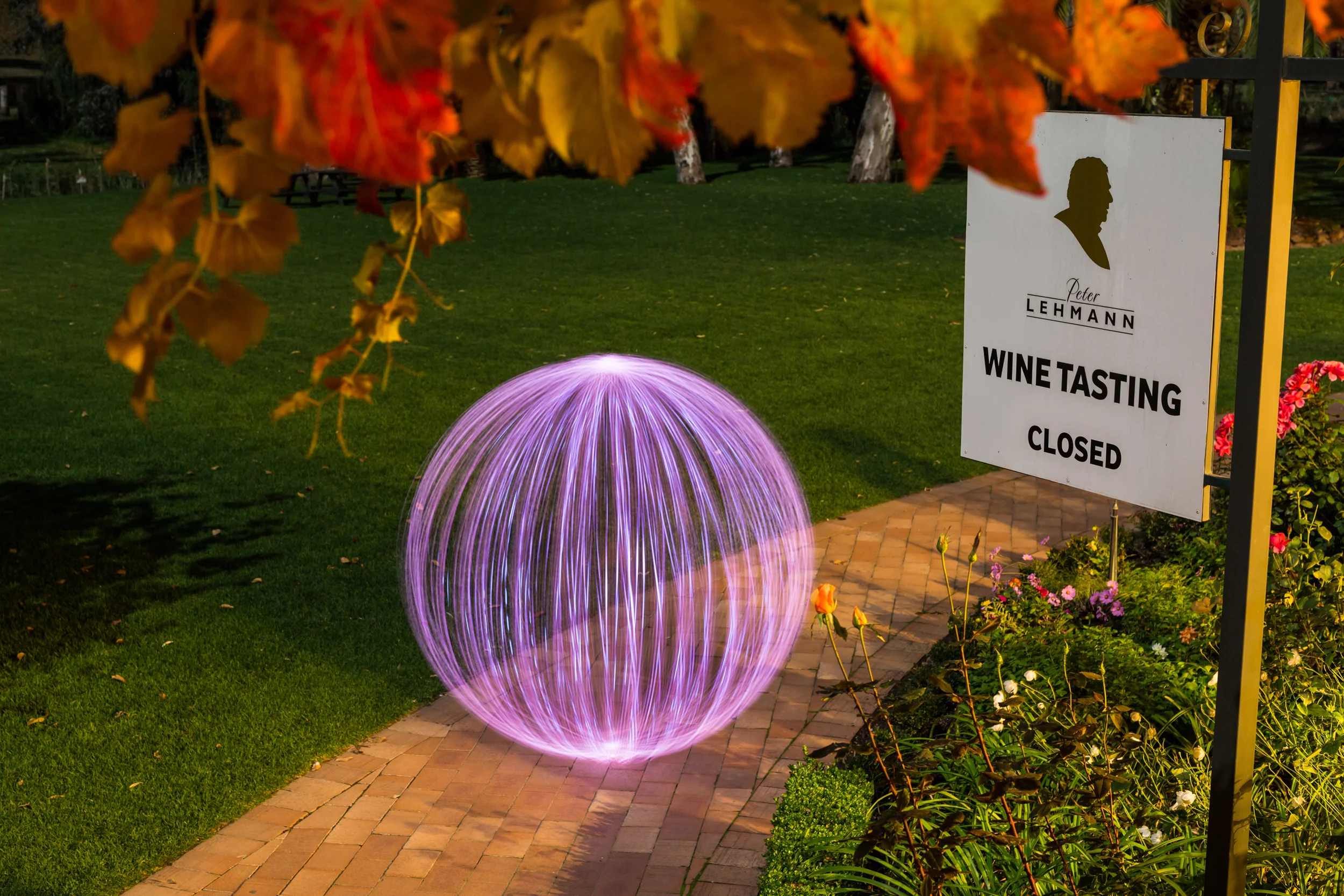 SALA EXHIBITION 2016