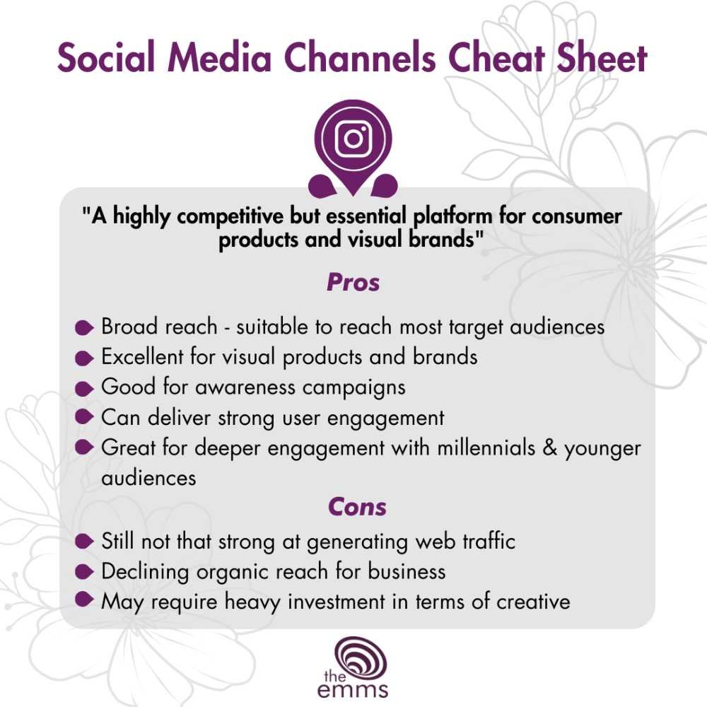 Pros and Cons of Instagram in 2023 - Social Media Cheat Sheet, The Emms (Copy)