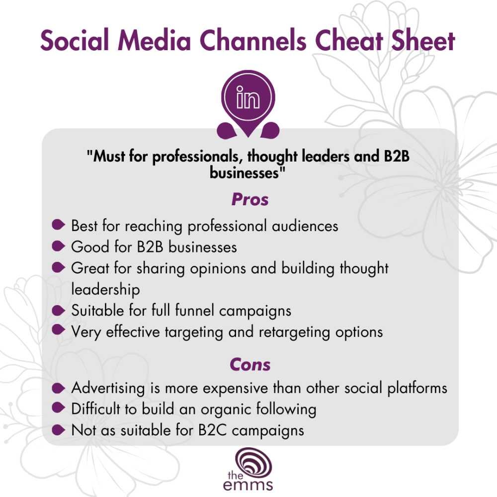Pros and Cons of LinkedIn, 2023 - Social Media Cheat Sheet, The Emms (Copy)