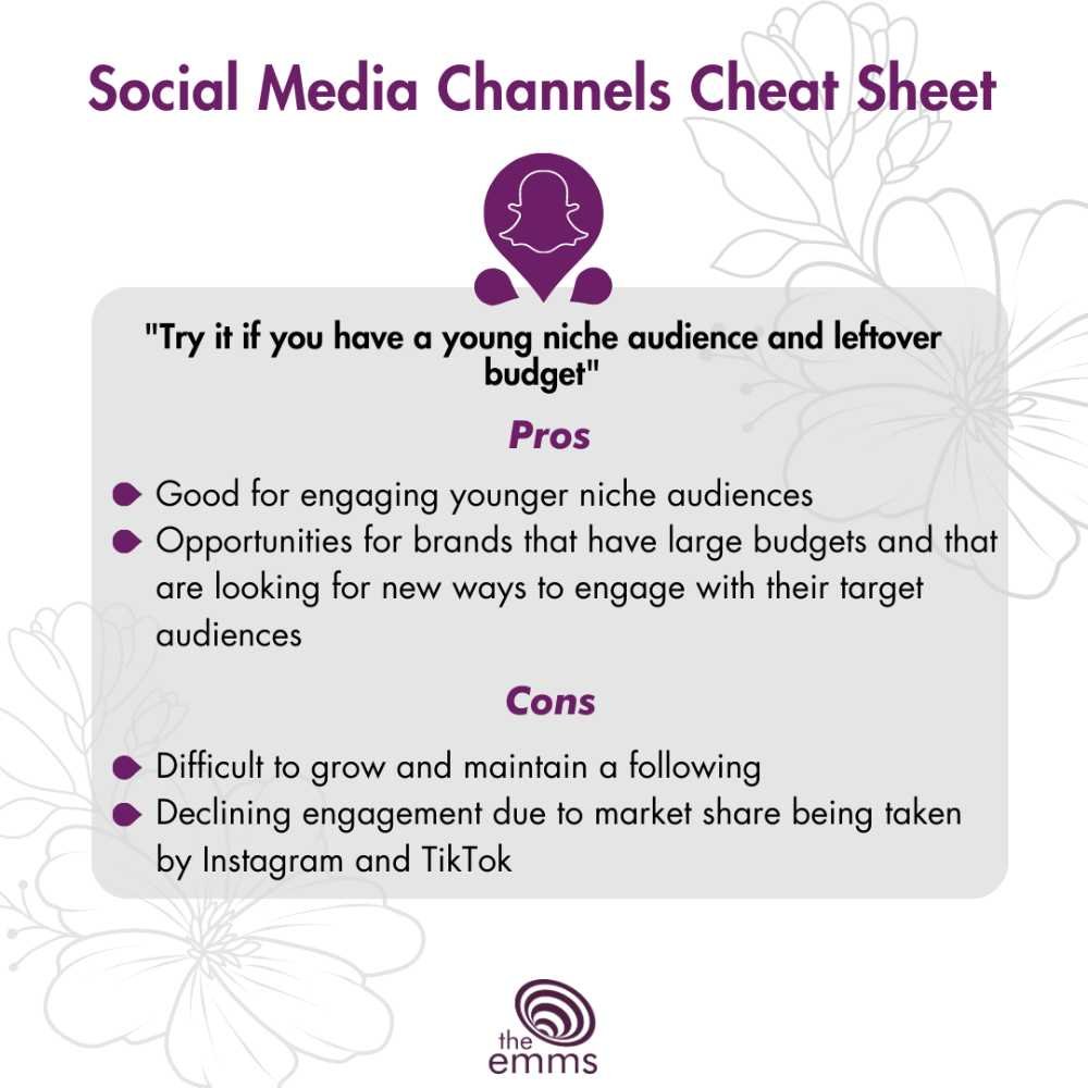 Pros and Cons of Snapchat today - Social Media Cheat Sheet, The Emms (Copy)