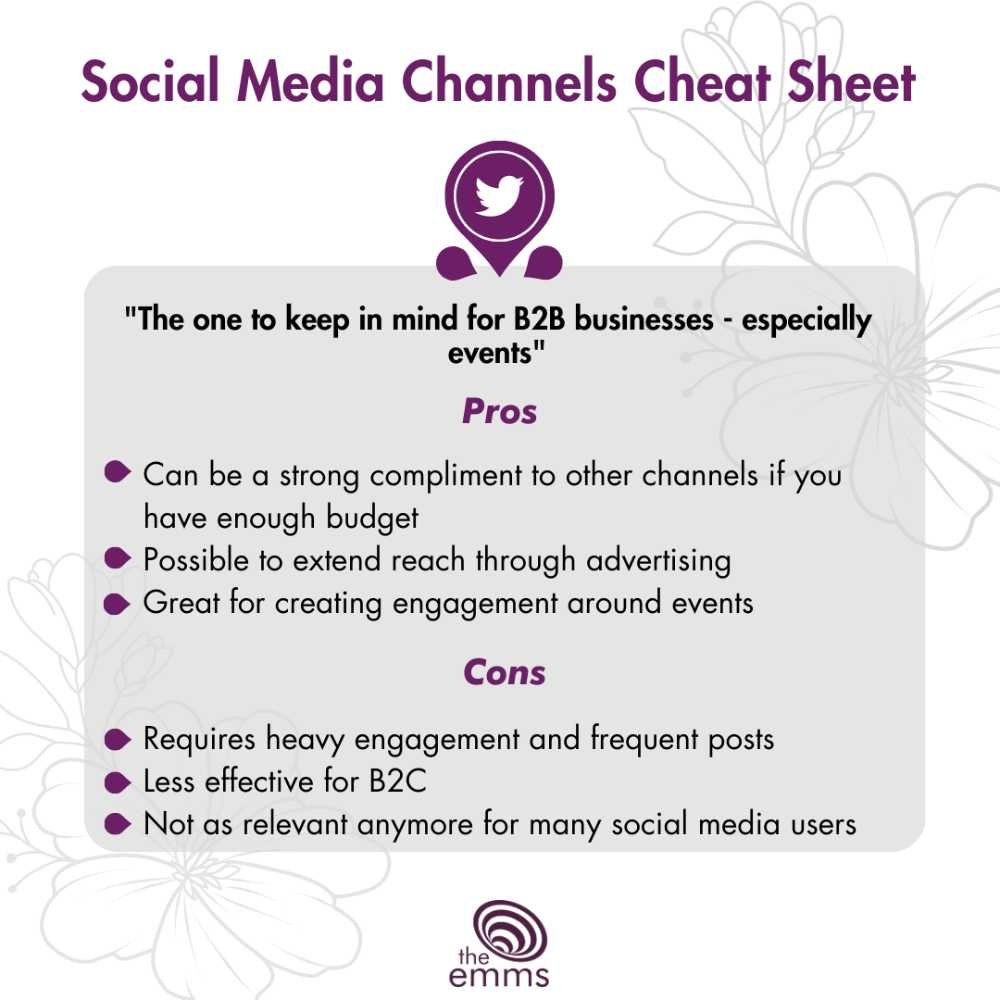 Pros and Cons of Twitter - Social Media Cheat Sheet, The Emms (Copy)