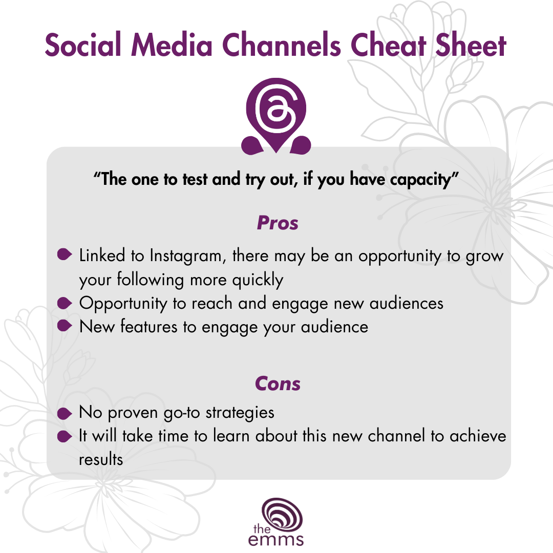 Pros and Cons of Threads in 2023 - Social Media Cheat Sheet, The Emms (Copy)