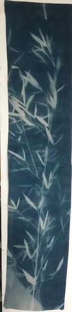 Bamboo