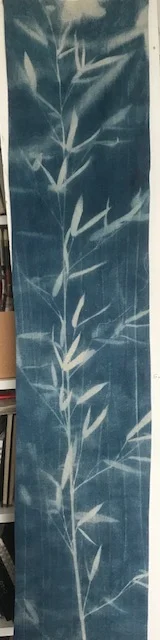 Bamboo 