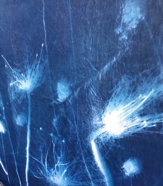 Allium on Linen (detail)