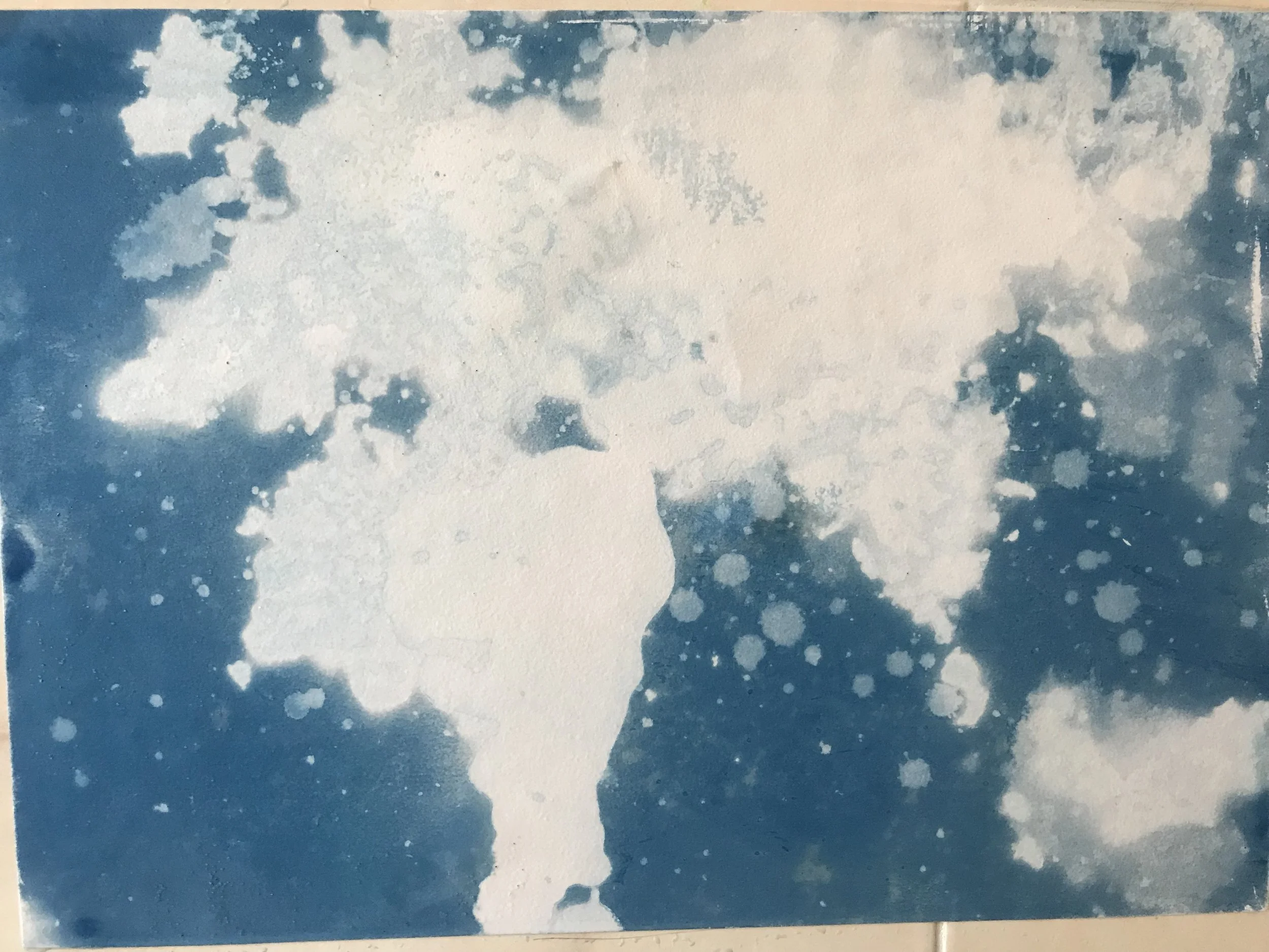  The maps are then washed out in the sea.  