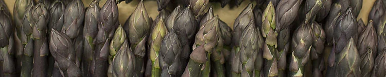 banner-may-european-salad-company.jpg