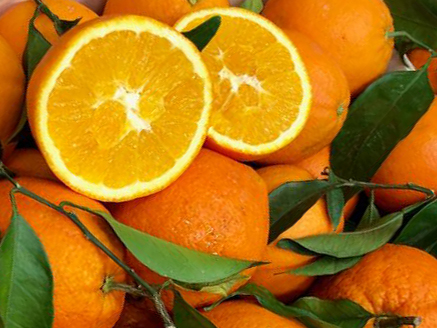 esc-newhall-orange.jpg