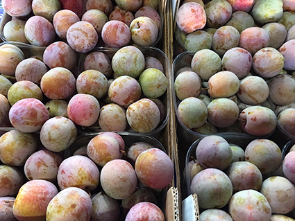 esc-plums-2.8.19.jpg