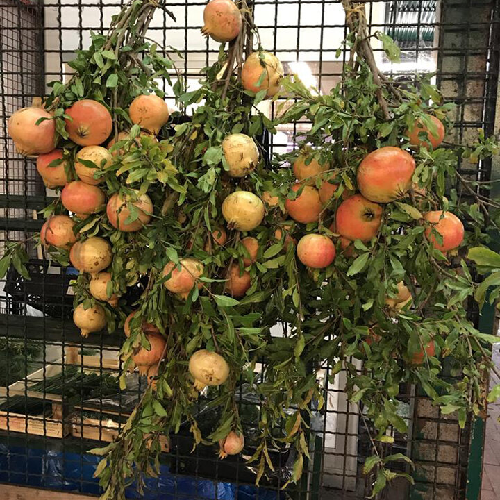 esc-pomegranate-branch-6.10.19.jpg