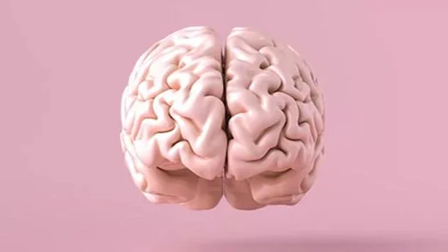 Depression or Burnout?