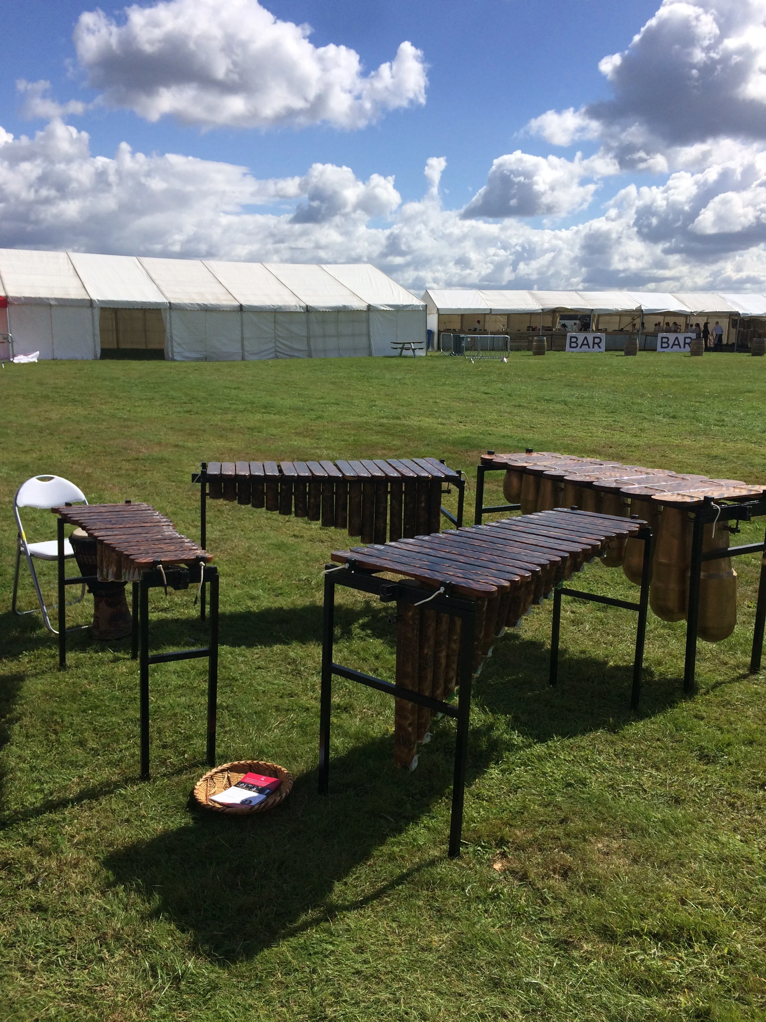 African Marimba Music Workshops at ZimFest with Otto Gumaelius 1.jpg