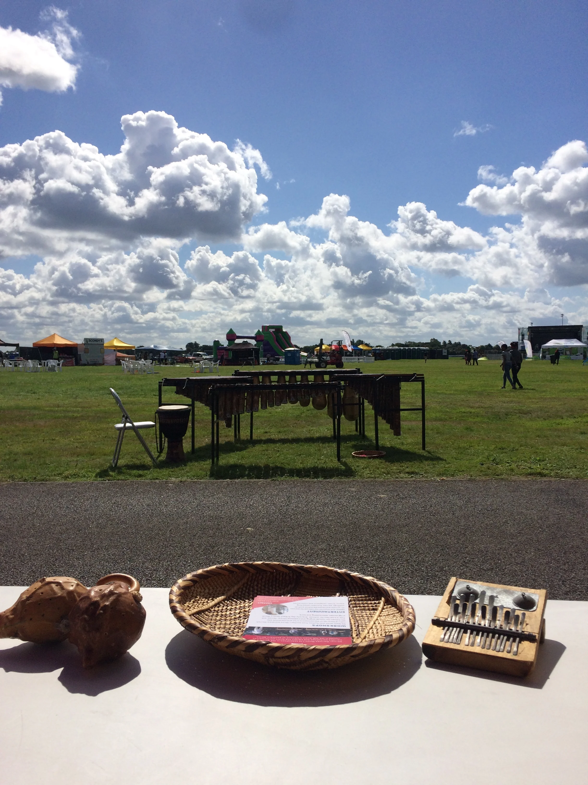 African Marimba Music Workshops at ZimFest with Otto Gumaelius 3.jpg