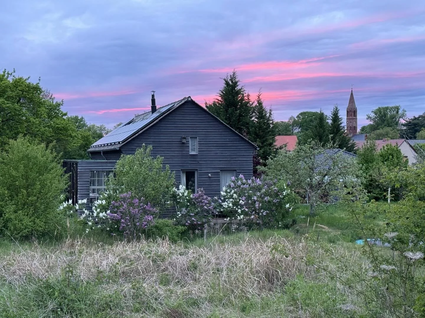 #justthis #beautifulspring
 📸 Martin ❤️