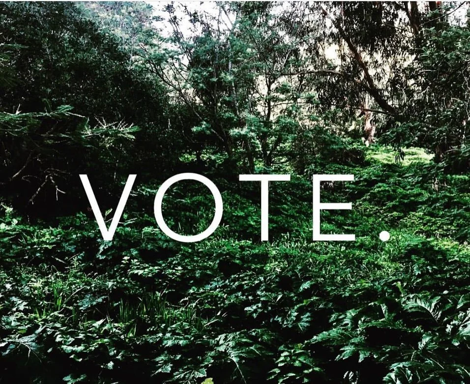 Dear Europeans
Please vote.
What a privilege. And responsibility.
Use your voice. 
There is so much to protect and defend.
#democracy
#nutzedeinestimme🇪🇺 
#europa