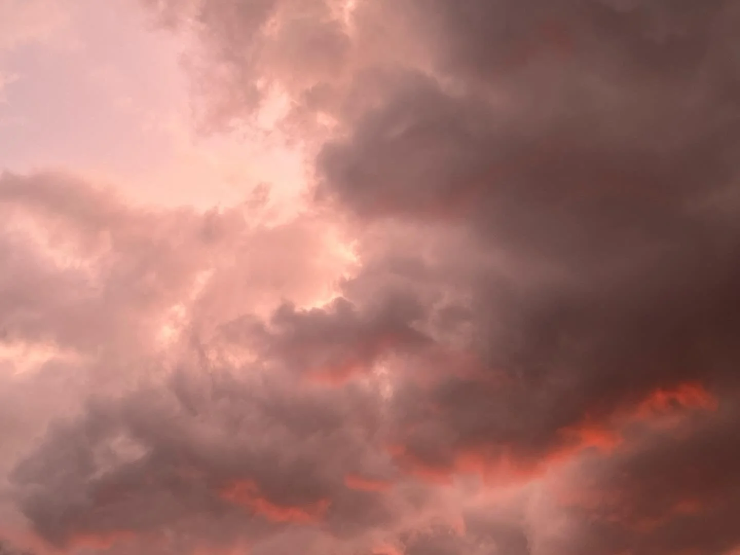 After a long winter in and around Berlin the light and glorious colours returned. What a joy.