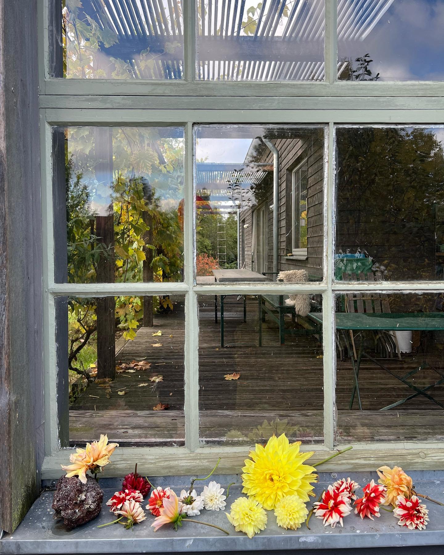 Autumn magic 

#natureishealing #beautyishealing #wearenature #grateful #now #transitions