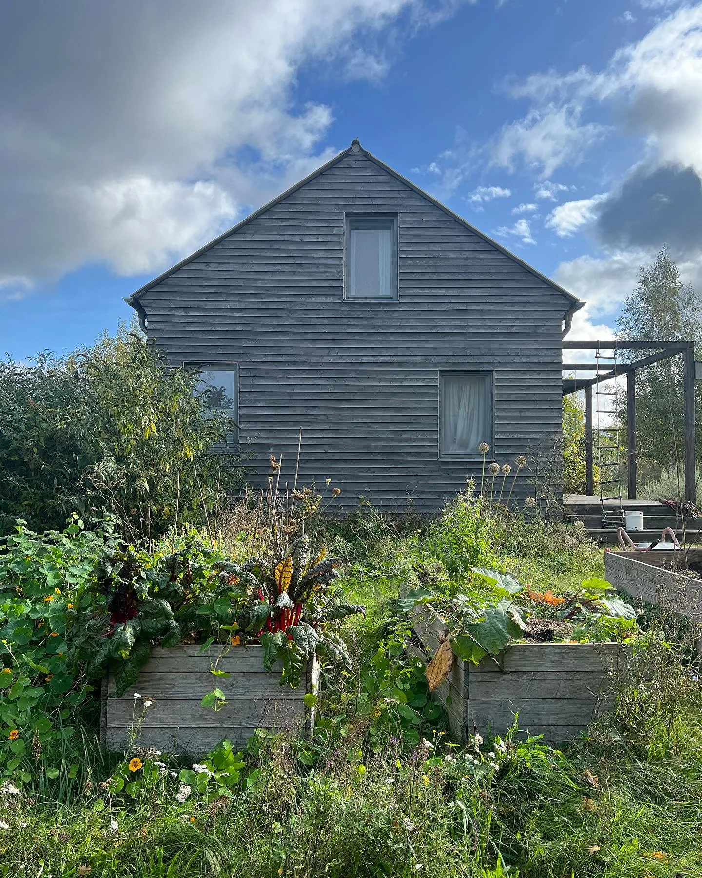 Today just this.

#rest
#healing
#natureishealing
#love
#stillness