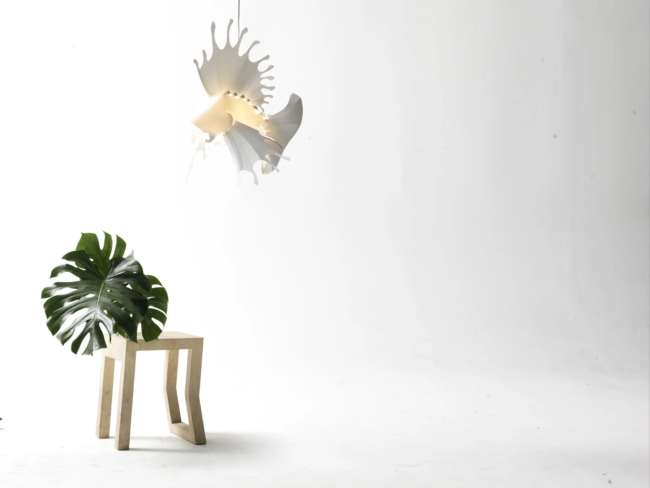 alex earl lionfish pendant lighting designed in melbourne