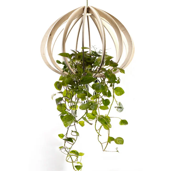 urchin planter light