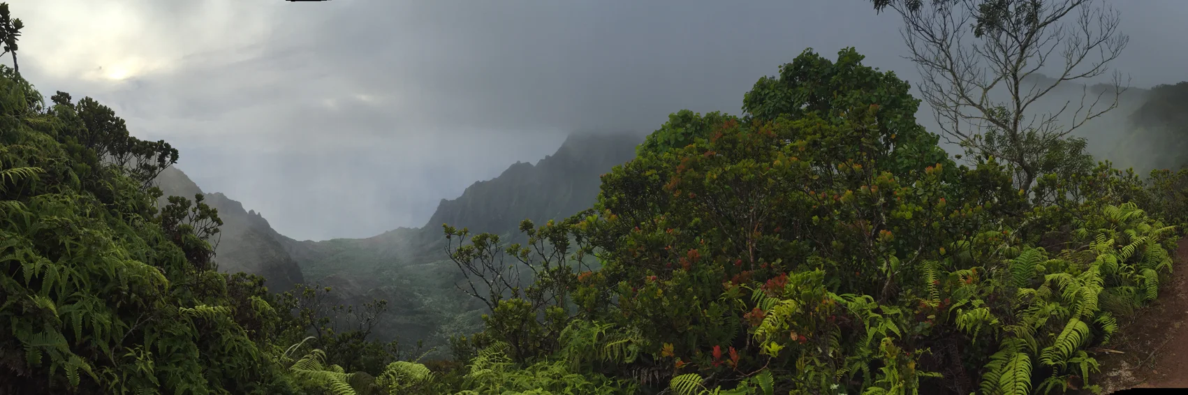 kauai.jpg