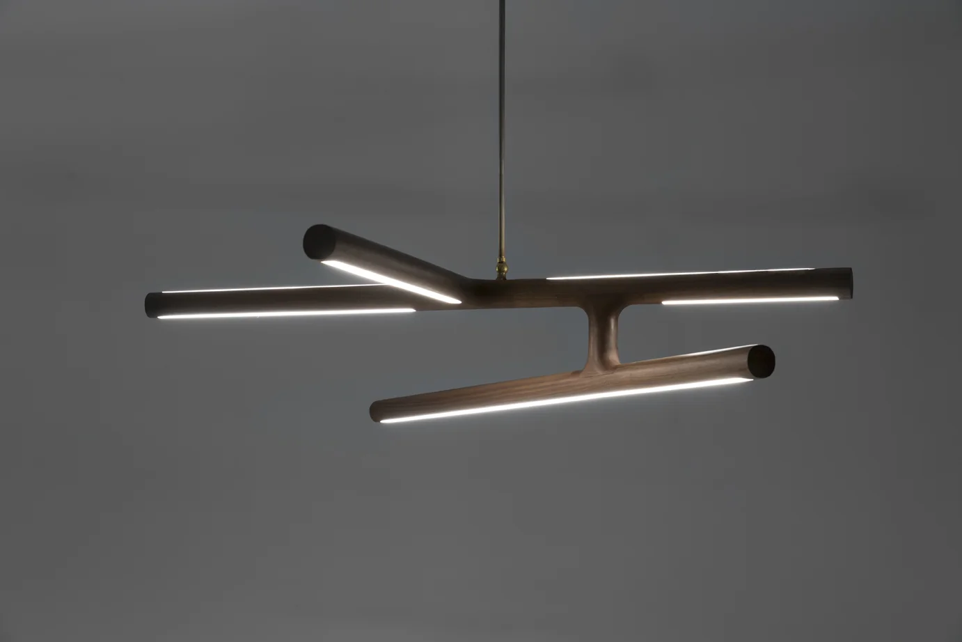 Alex-Earl-Lighting_antler-pendant-dark-custom-lighting-web.jpg