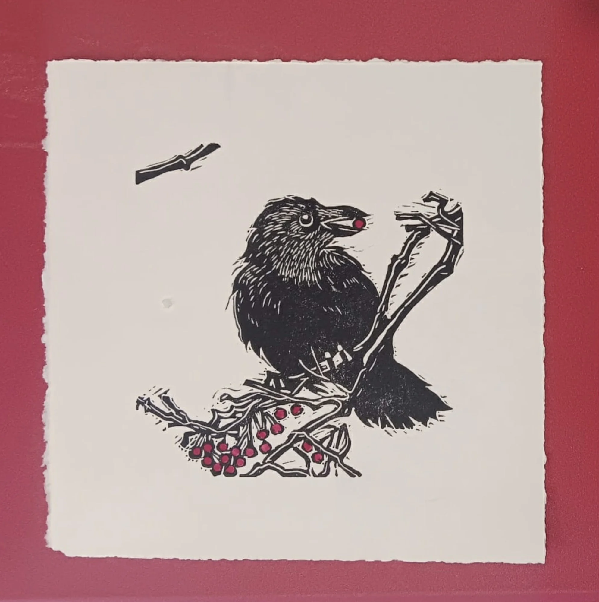 CROW & BERRIES - Linocut & watercolour, 9 X 12",  $25.