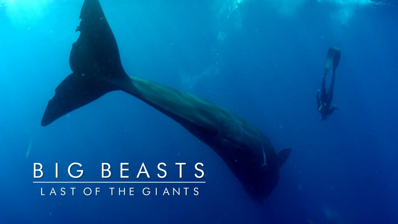 beasts_6.jpeg