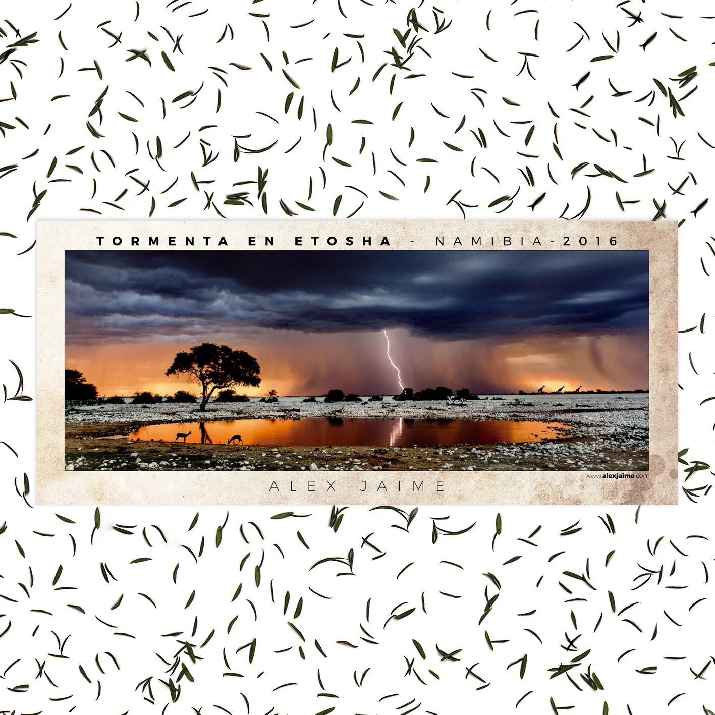 tormenta.jpg