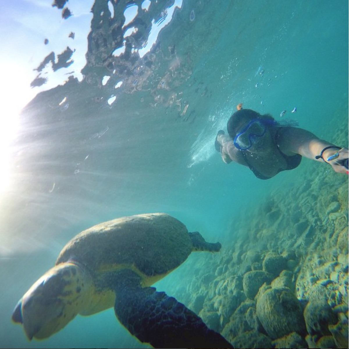 That's Lucky @naylabissat Swimming with my friends 🐢