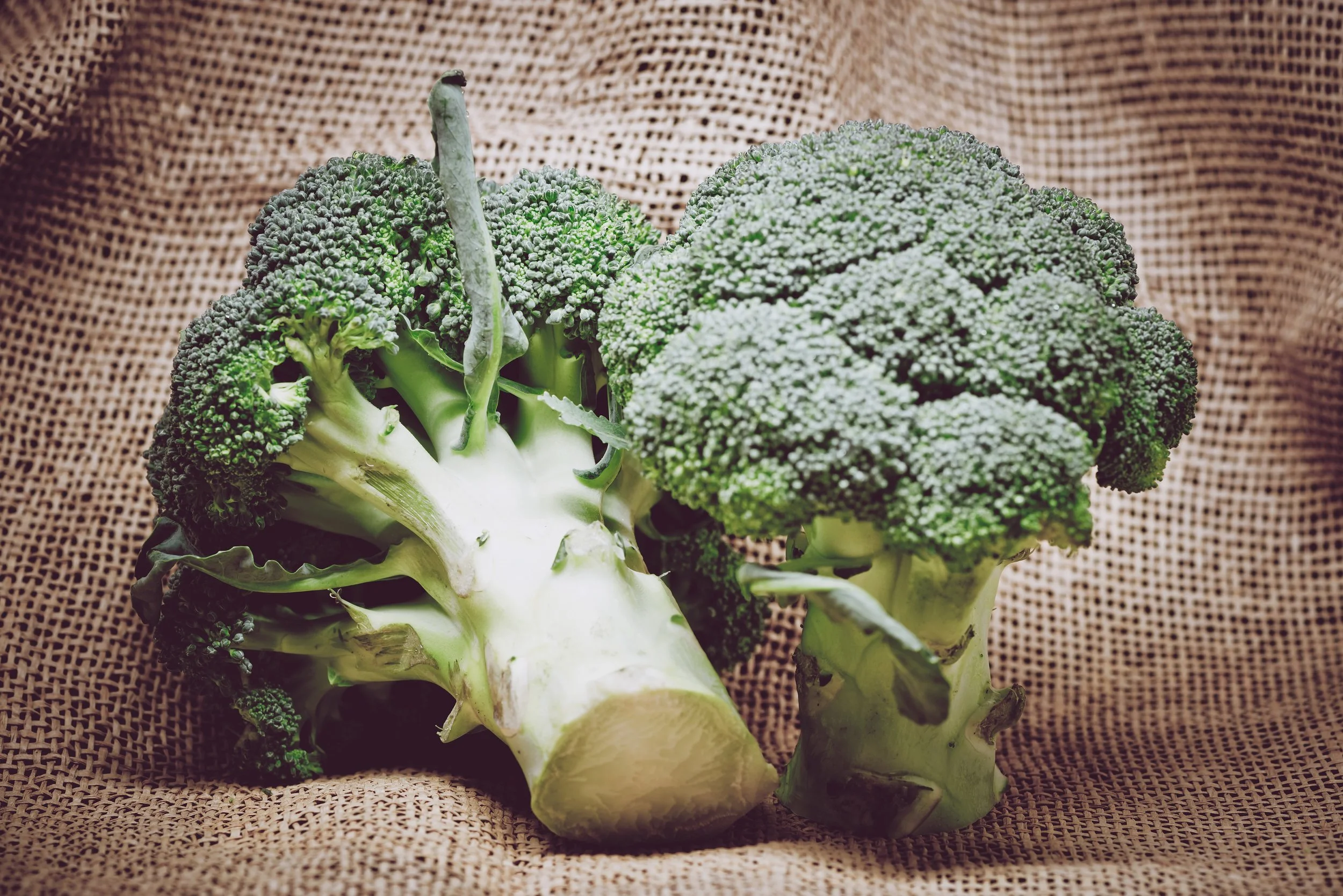 agriculture-broccoli-close-up-399629.jpg