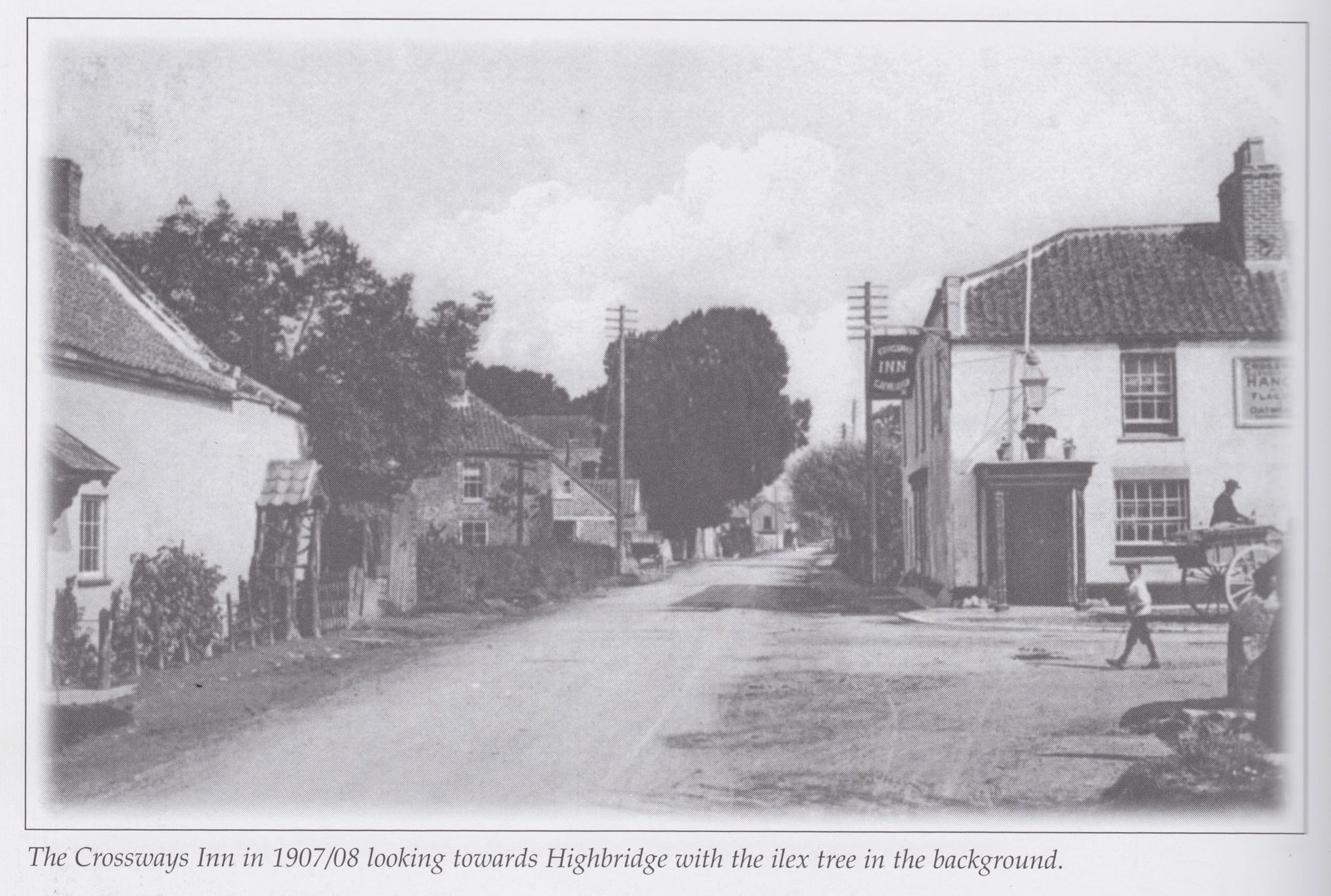 The Crossways Inn in 1907/08, looking towards Highbridge with the ilex tree in the background.