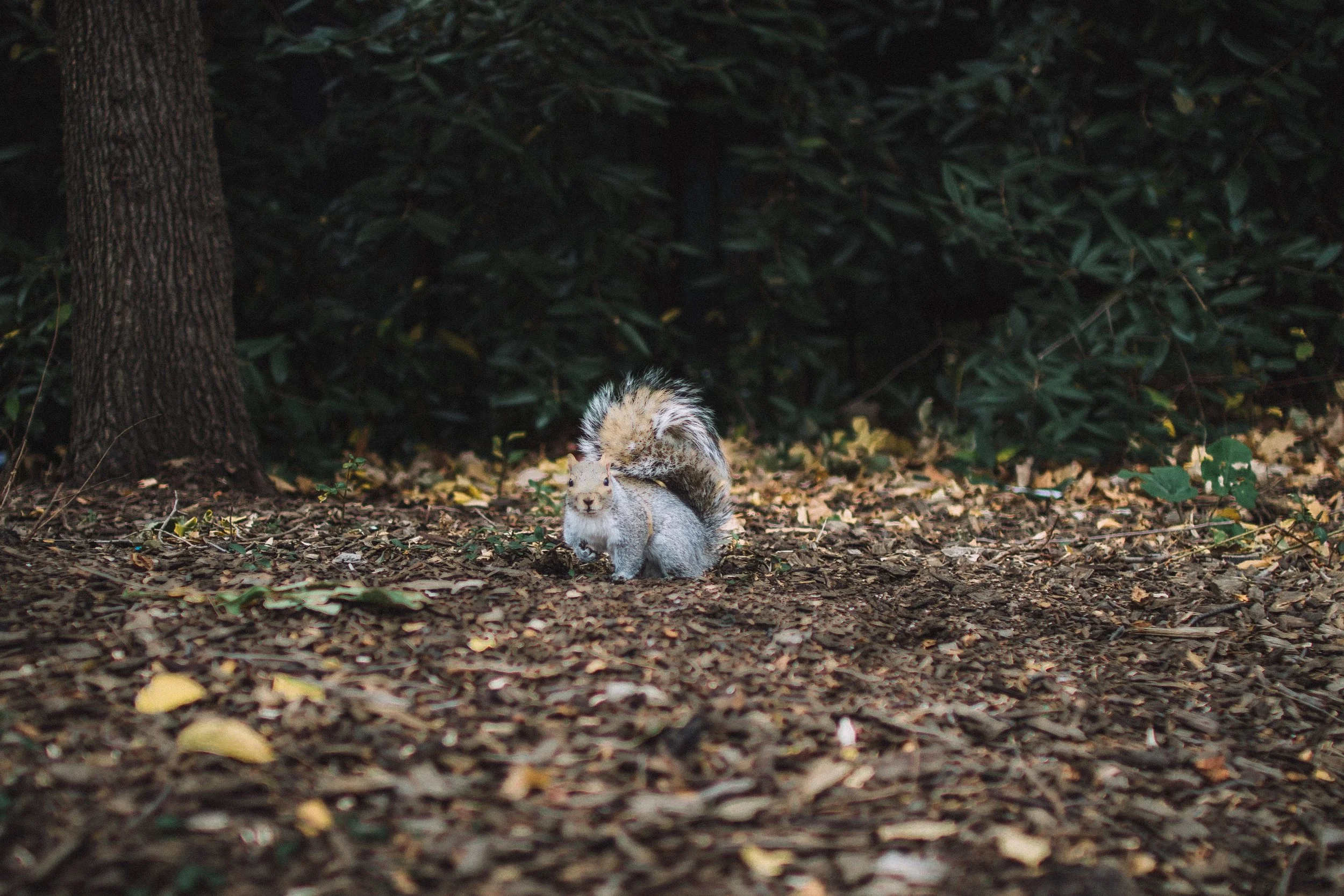 hillie-chan-263124-unsplash.jpg