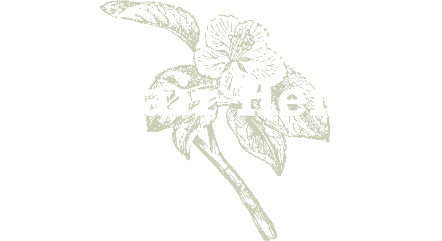 logo@2000x.png
