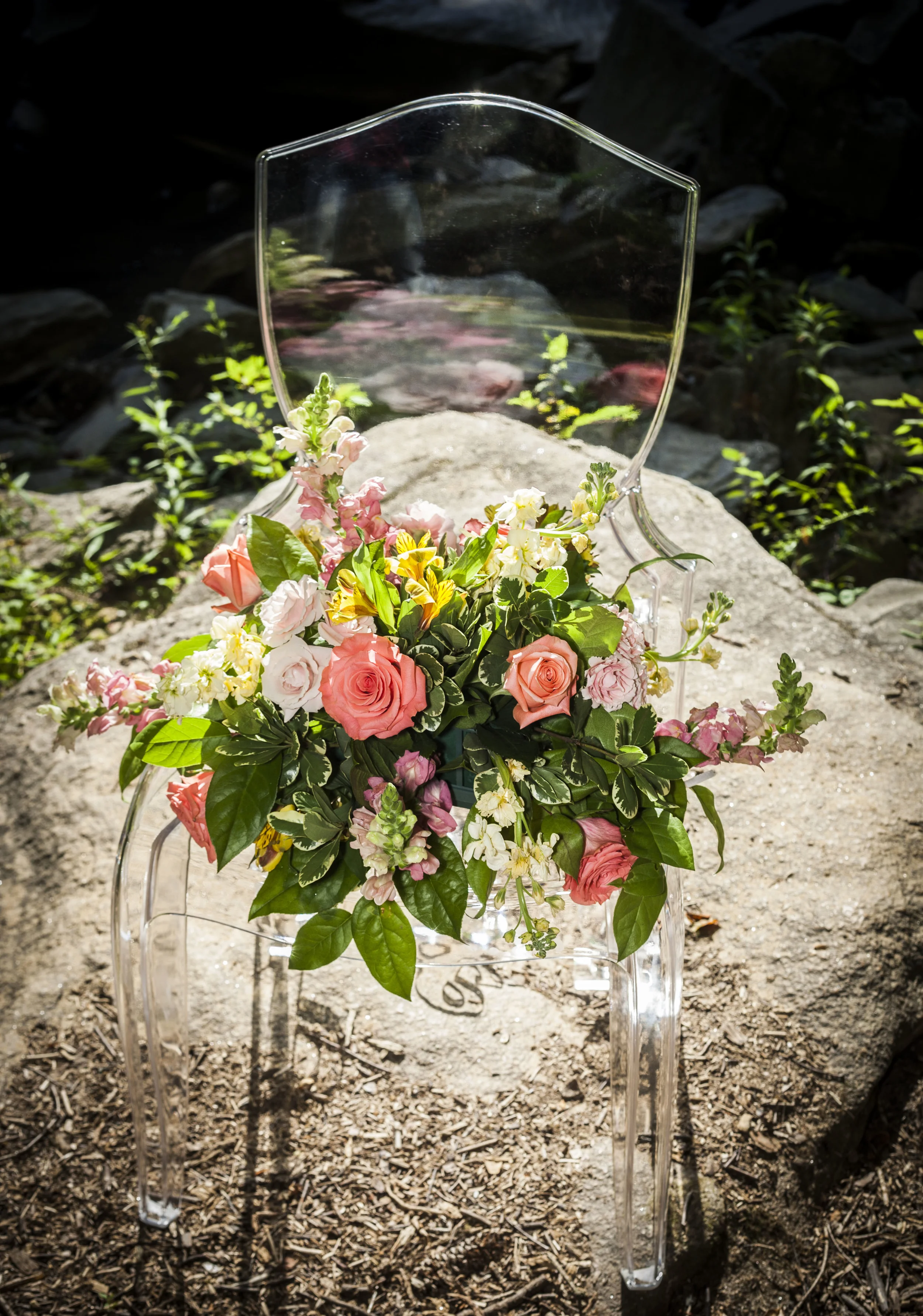 Pail and Seed_Summer_2016_26.JPG