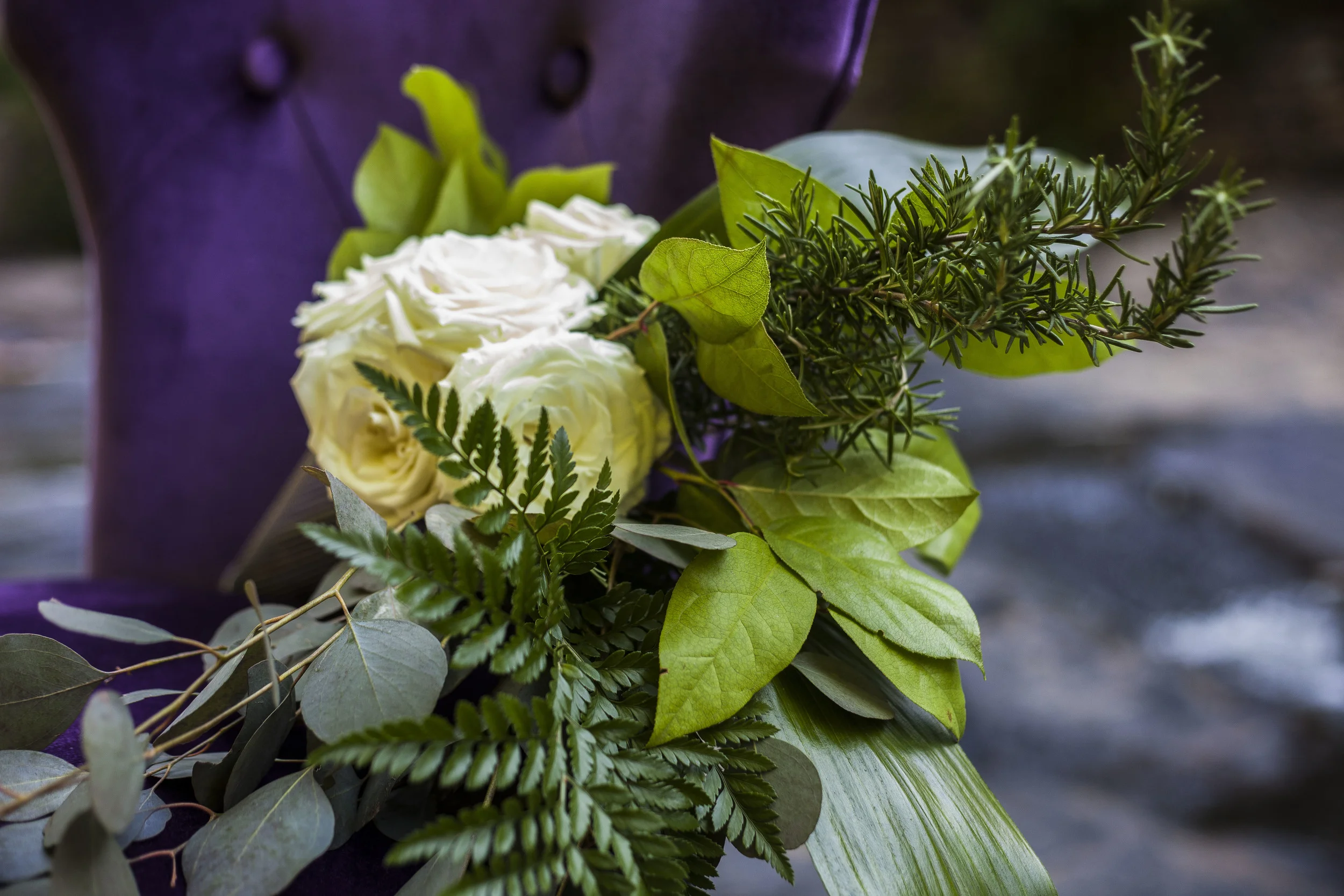 Pail and Seed_Summer_2016_44.JPG