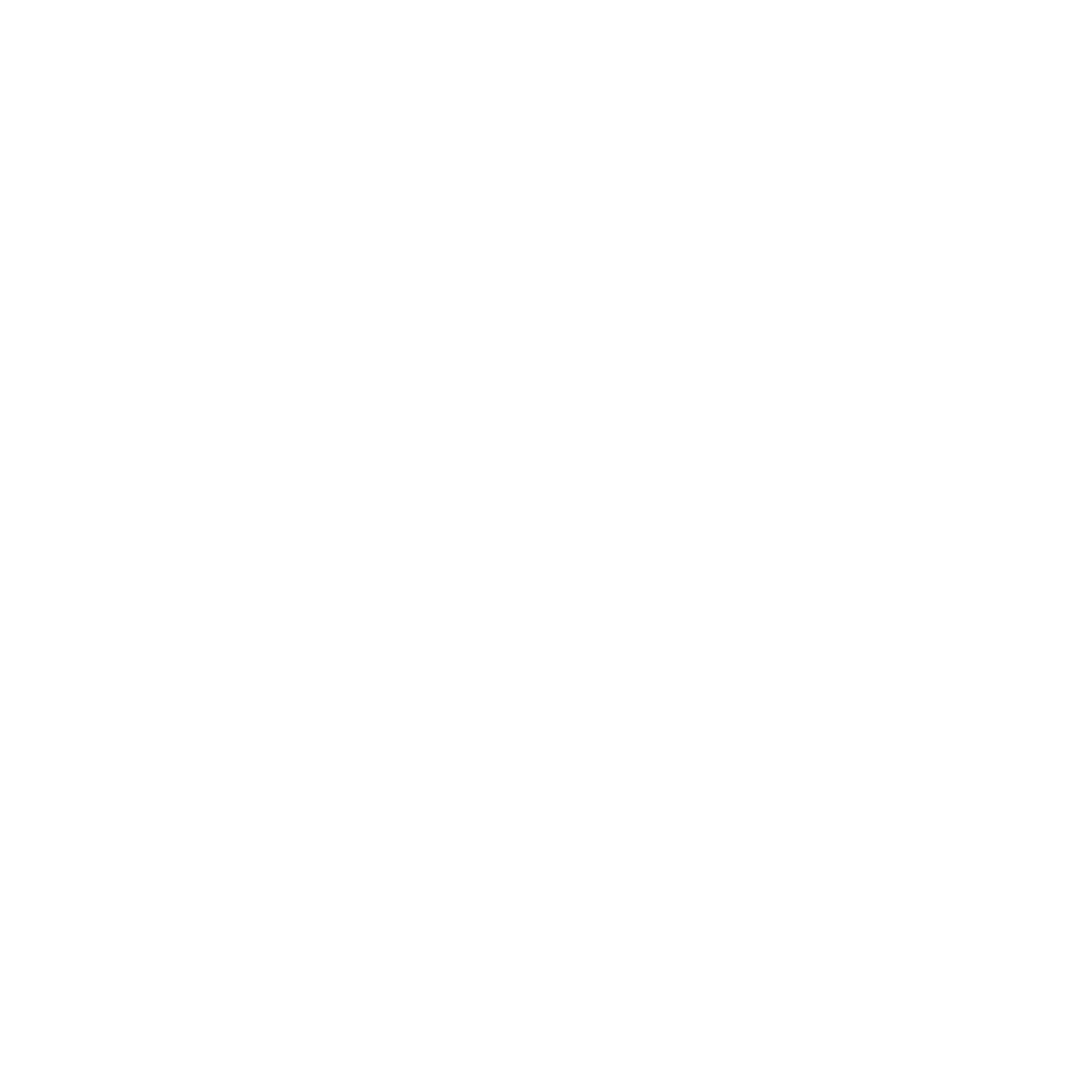 flow icon.png