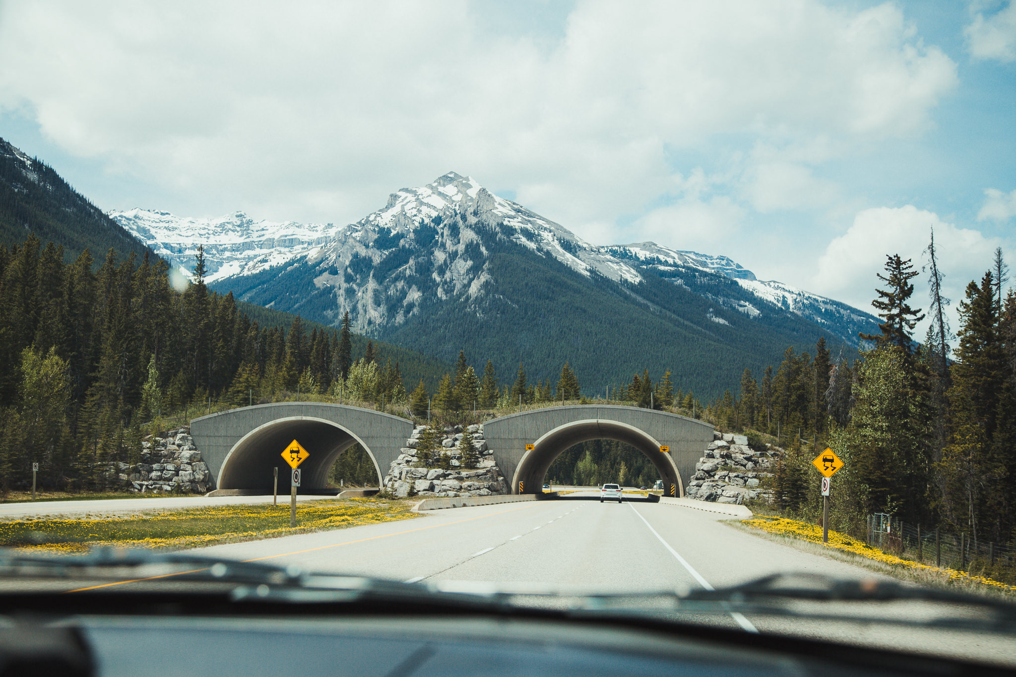 Banff & Jasper