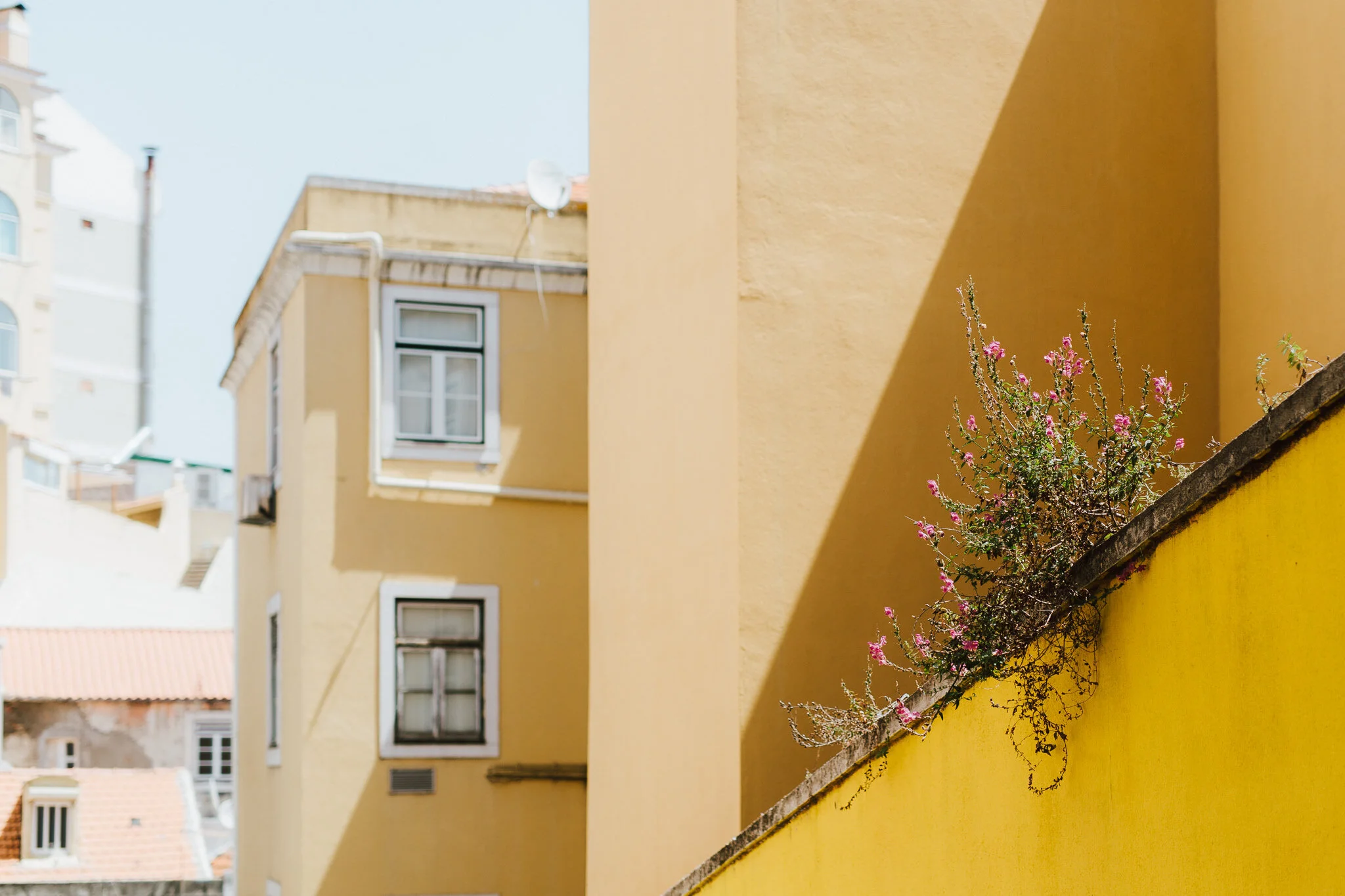 lisbon-blog-aaronsami-39.jpg