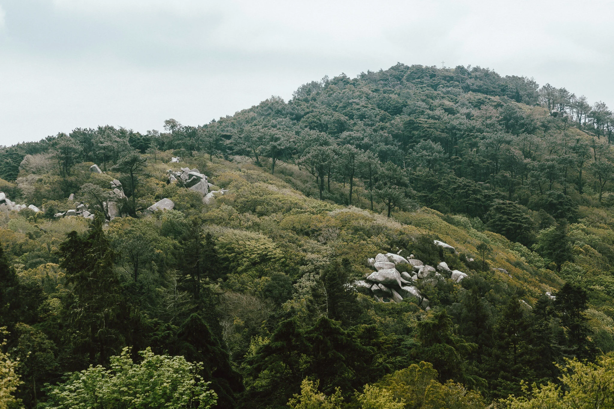 sintra-blog-aaronsami-22.jpg