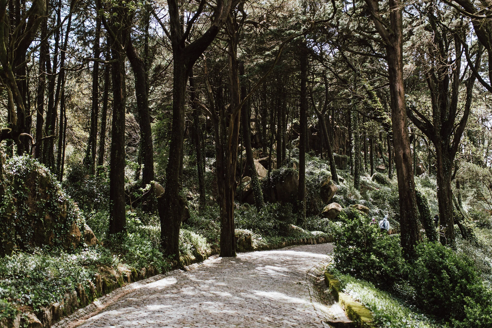 sintra-blog-aaronsami-47.jpg