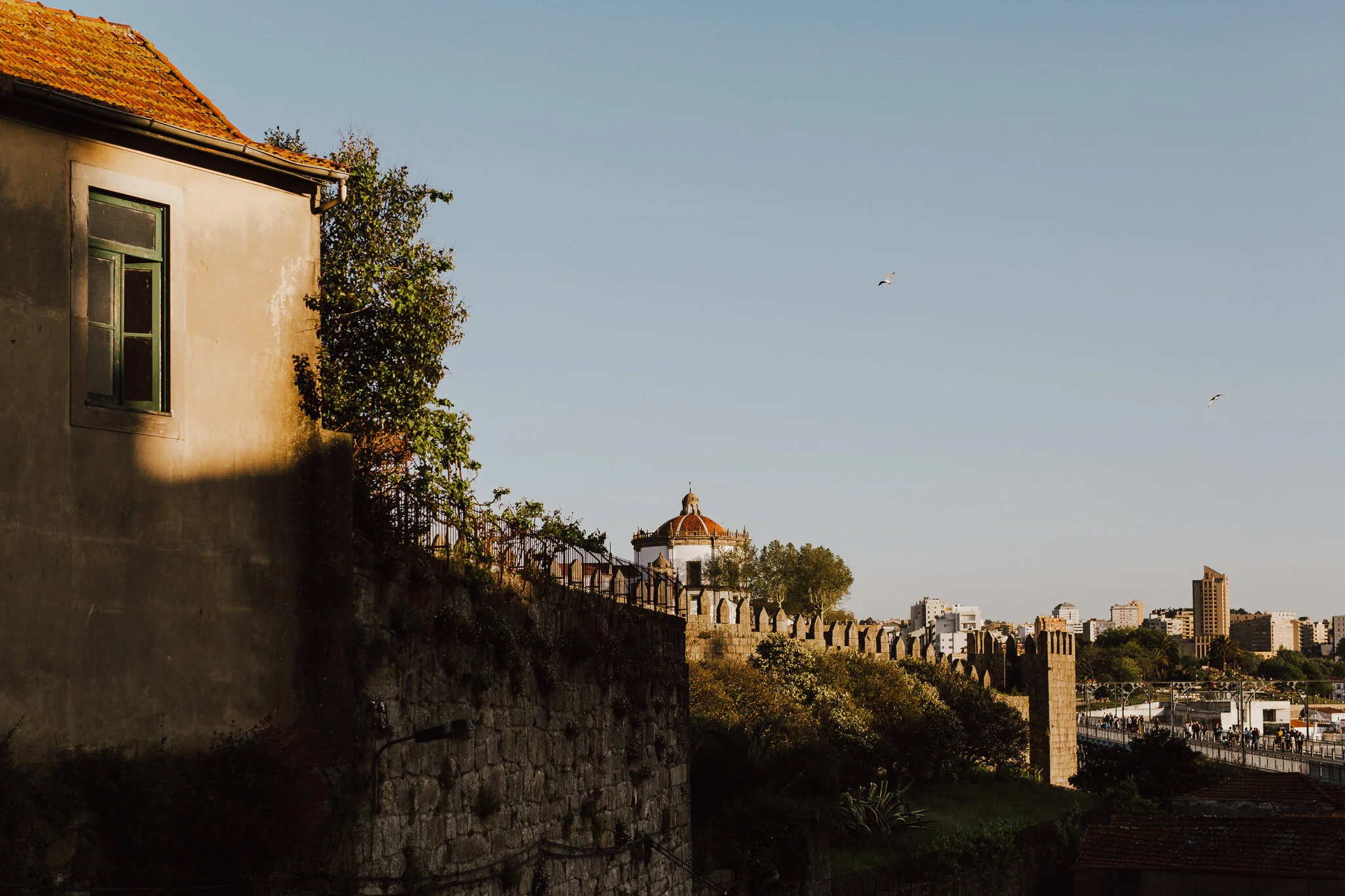 porto-blog-aaronsami-44.jpg